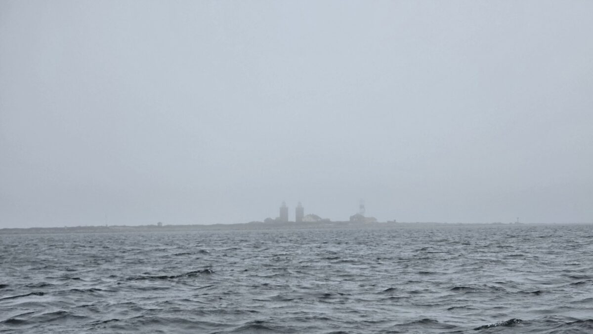 Dagbok Nidingens Fågelstation lördag 21 mars 2026