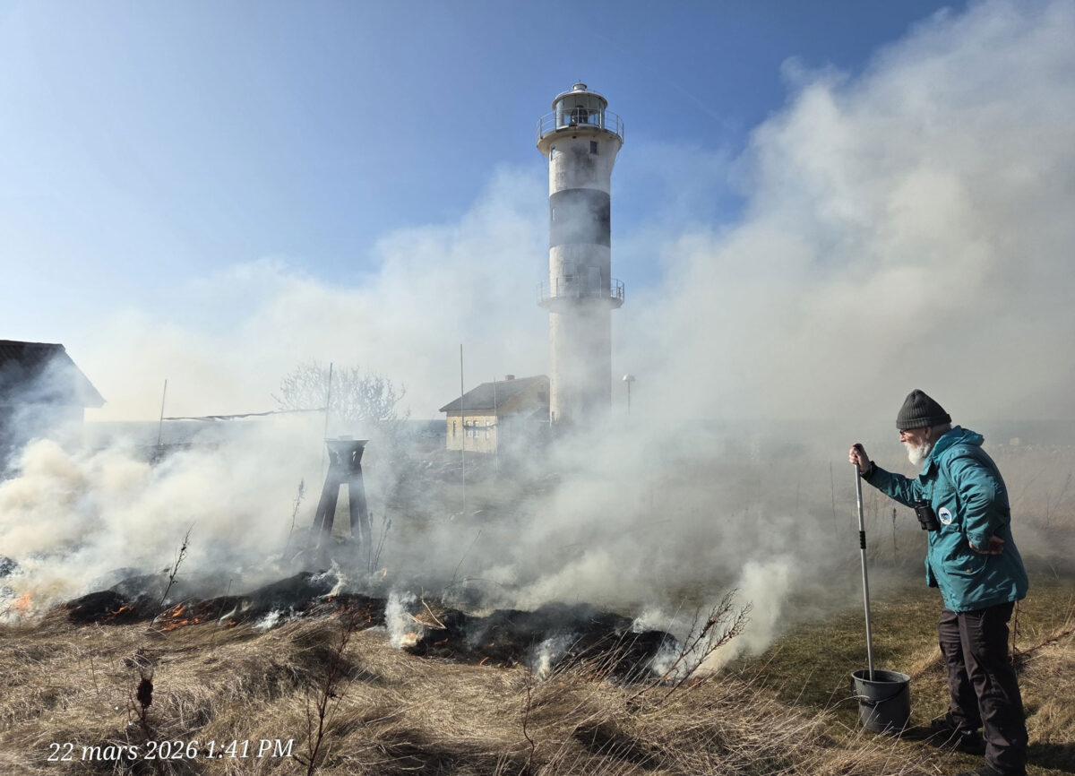 Dagbok Nidingens Fågelstation söndag 22 mars 2026