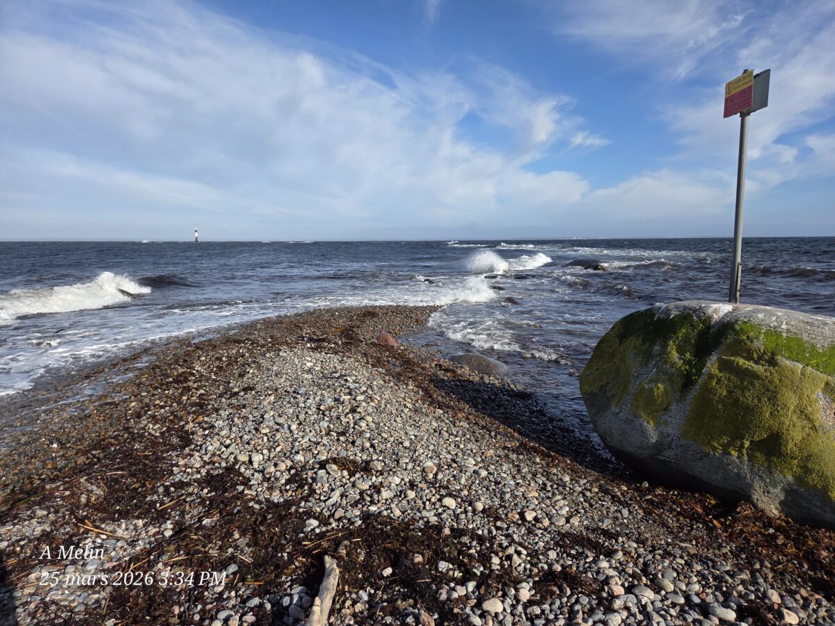 Dagbok Nidingens Fågelstation onsdag 25 mars 2026