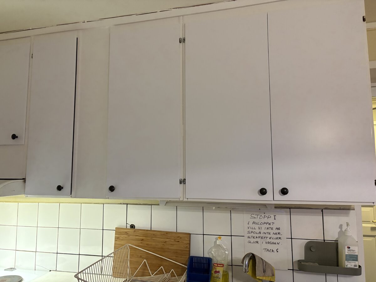 Dagbok Nidingens Fågelstation lördag 7 mars 2026