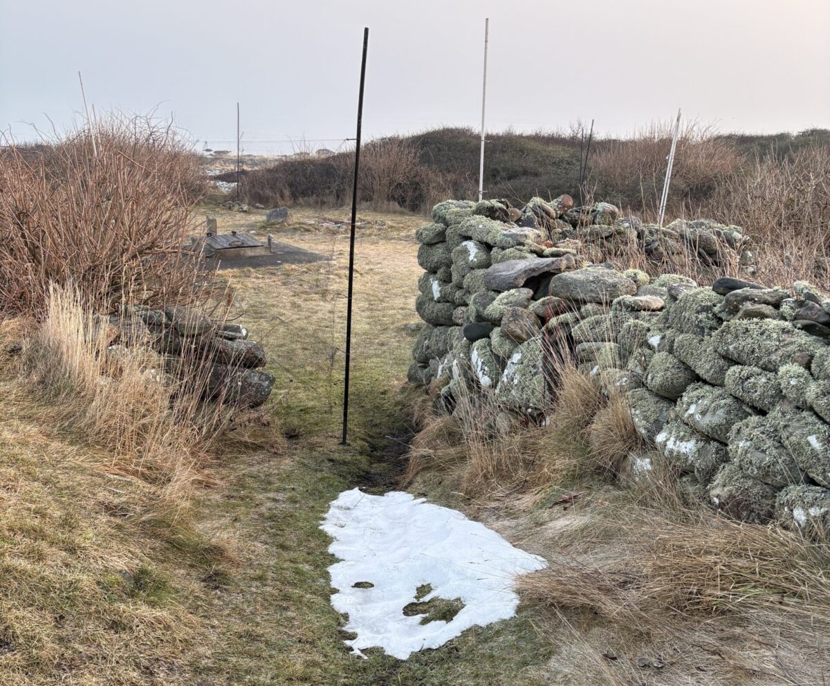 Dagbok Nidingens Fågelstation måndag 9 mars 2026