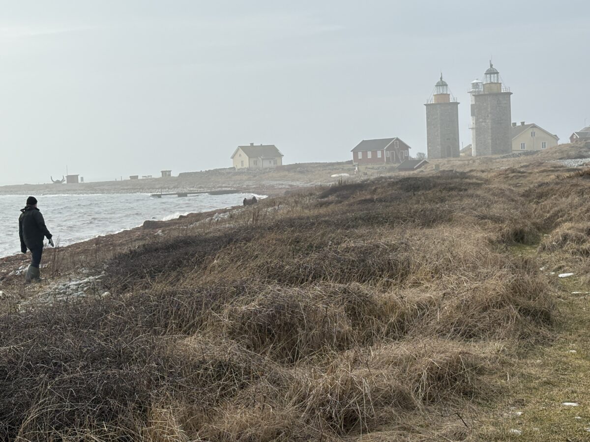 Dagbok Nidingens Fågelstation onsdag 11 mars 2026