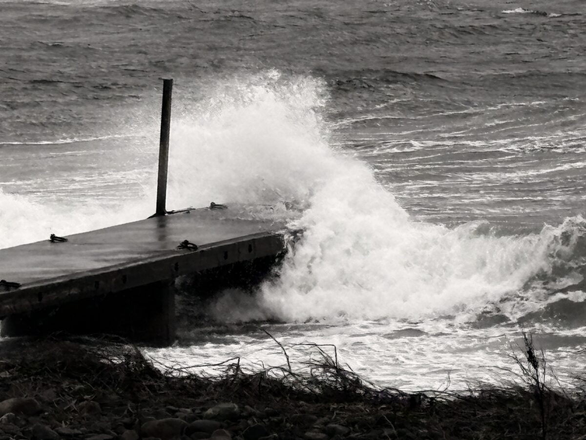 Dagbok Nidingens Fågelstation fredag 13 mars 2026