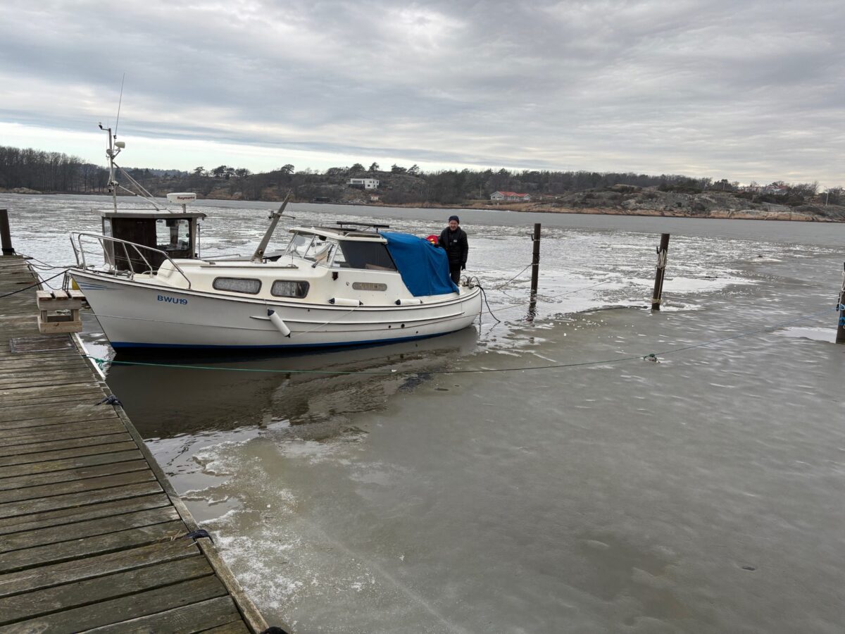 Dagbok Nidingens Fågelstation tisdag 3 mars 2026