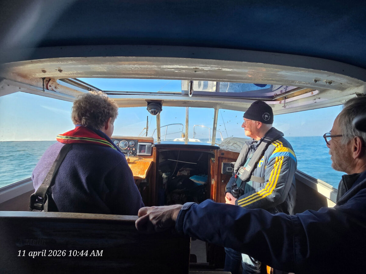 Dagbok Nidingens Fågelstation – Lördag 11 april 2026