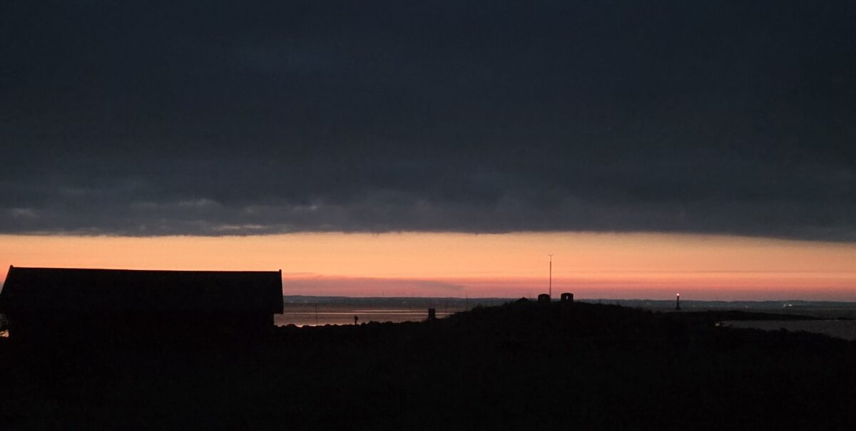 Dagbok Nidingens Fågelstation – Torsdag 16 april 2026