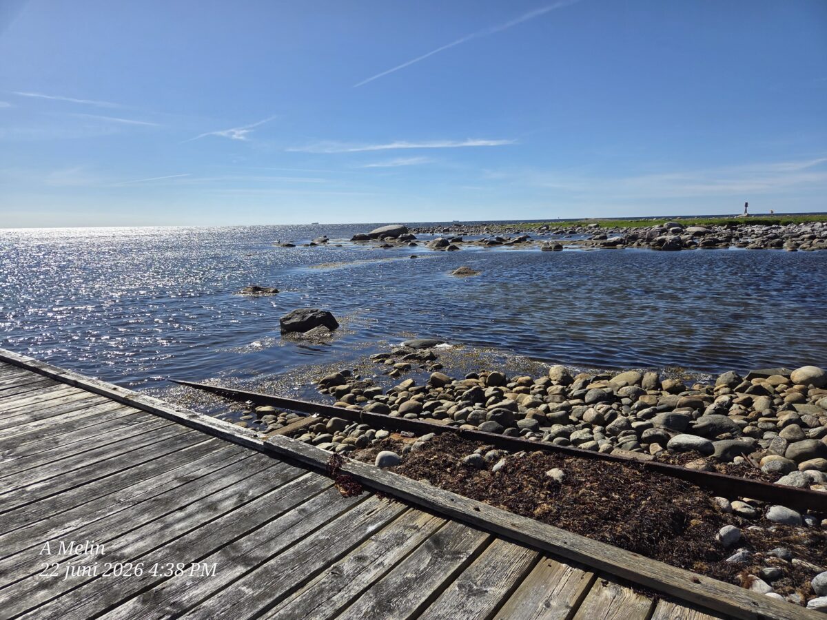 Dagbok Nidingens Fågelstation – måndag 22 juni 2026