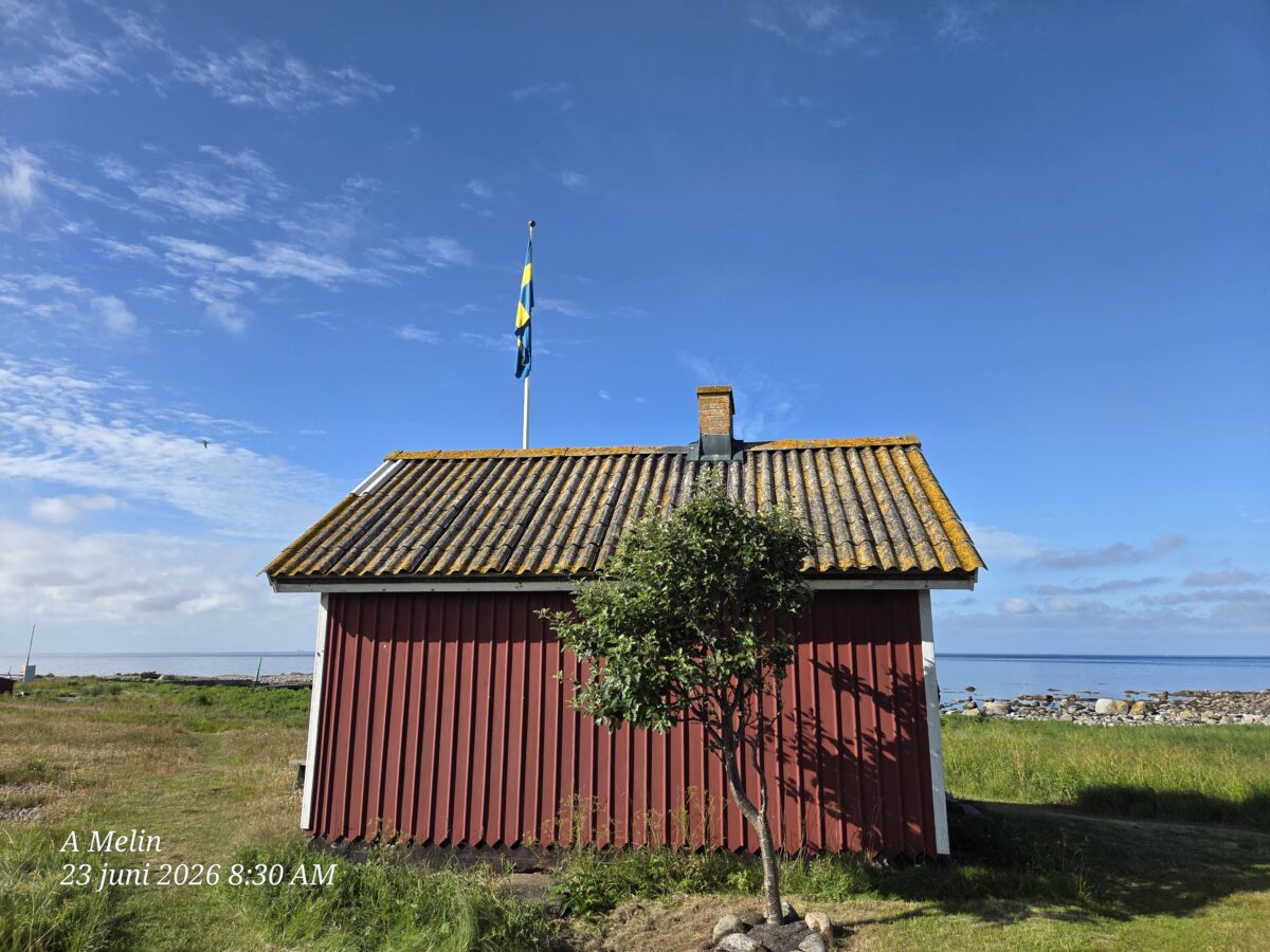Dagbok Nidingens Fågelstation – tisdag 23 juni 2026